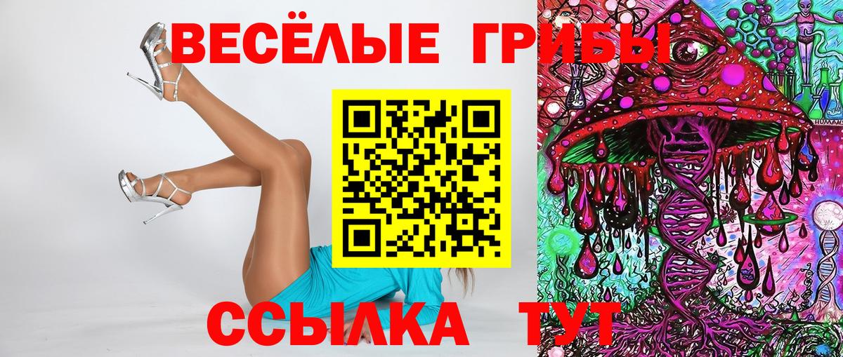 Псилоцибиновые грибы Psilocybe Строитель