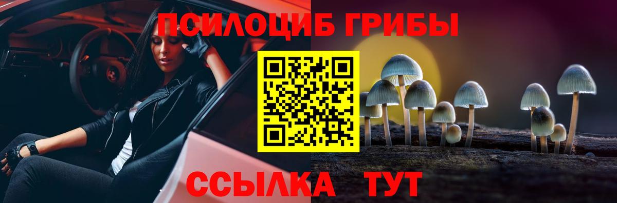 купить наркоту  Галлюциногенные грибы MAGIC MUSHROOMS  Вход с VPN  Строитель  Галлюциногенные грибы GOLDEN TEACHER 